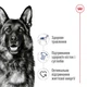 Сухой корм Royal Canin Maxi Adult 12 кг (R475535) - изображение 6