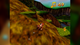 Игра Nintendo N64 Banjo-Kazooie Europe Английская Версия Без Мануала Б/У - изображение 2