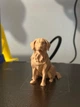 Статуетка собаки в стилі low poly. Aivory - изображение 2