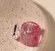 Мініатюра Парфумована вода для жінок Jimmy Choo Blossom 4.5 мл - зображення 3