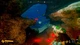 Ключ активации Deep Diving Adventures для Xbox One/Series S/X - изображение 7