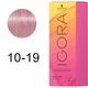 Фарба для волосся Schwarzkopf Professional Igora Vibrance 10-19 - М'який тонер Попелясто-фіолетовий (7702045430981) - зображення 2