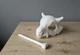 Шпилька-тримач для волосся у вигляді черепа покемона Cubone. Aivory - изображение 2