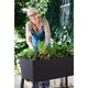 Грядка Keter Easy Grow коричнева 7290005559822 - зображення 4