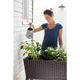 Грядка Keter Easy Grow коричнева 7290005559822 - зображення 7