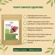 Порошок из калины Здорово 100 г - изображение 3