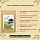 Порошок из черники (Украина) Здорово 100 г - изображение 3