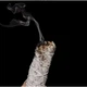 Біла шавлія для обкурювання - зображення 2