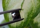 Муассанит 3.35 Carat 8.84 х 8.82 х 3.80 MM (387652) - изображение 5