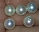 Перлина 9.4 - 9.8 mm На половину просвердлена (7257) - зображення 4