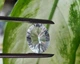 Натуральный топаз 8.14 Ct 12 х 16 мм (2624) - изображение 6