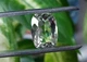 Празиолит 11.38ct 17.4x12.6mm (2847540) - изображение 4