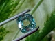 Муассанит 8.76 ct (82744189) - изображение 4
