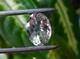Празиолит 10.37 ct 17.2x12.5mm (289540) - изображение 4