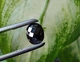 Муассанит 3.51 carat 11.17 х 9.42 х 4.55 мм (387658) - изображение 3