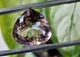 Шикарний аметрин 21.93 Ct. 19mm (2189) - зображення 2