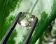 Муассанит 4.88 ct (827189) - изображение 7