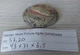 Моховый агат 53.20 Ct 43 х 31 х 6.5 мм (9310) - изображение 3