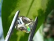Муассанит 4.66 ct VVS1 10 х 9 мм (53175) - изображение 3