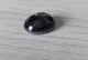 Звездчатый сапфир черный 5.3 Ct 10.7 х 8.6 х 5 mm (4262) - изображение 4