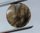 Лабрадорит 17.05 Ct 19.8 х 5.3 мм (2741) - изображение 4