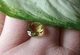 Натуральный цитрин 4.02ct 10mm (347342) - изображение 5