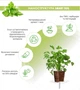 Сменный картридж для гроубокса Click and Grow Кориандр (8417) - изображение 3