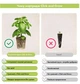 Сменный картридж для гроубокса Click and Grow Кориандр (8417) - изображение 6