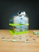 Ботанические эксперименты 18415 4FUN Game Club, теплица, семена, инструменты, в коробке (6945717414013) - изображение 2