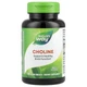 Холін Natures Way (Choline) 500 мг 100 таблеток NWY40460 - зображення 1