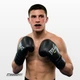 Боксерські рукавички Everlast 6 унцій (6 oz) чорні - зображення 4