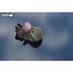 Пазл Eugy 3D Зоопарк Морская выдра (XEG-060) Eugy XEG-060 1026203 - изображение 7