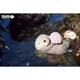 Пазл Eugy 3D Зоопарк Морская выдра (XEG-060) Eugy XEG-060 1026203 - изображение 9