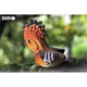 Пазл Eugy 3D Зоопарк Одуд (XEG-105) Eugy XEG-105 1026224 - изображение 6