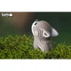 Пазл Eugy 3D Зоопарк Вовк (XEG-040) Eugy XEG-040 1026084 - зображення 6