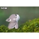 Пазл Eugy 3D Зоопарк Вовк (XEG-040) Eugy XEG-040 1026084 - зображення 9