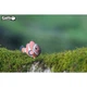 Пазл Eugy 3D Зоопарк Рыба-клоун (XEG-037) Eugy XEG-037 1026780 - изображение 6
