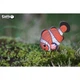 Пазл Eugy 3D Зоопарк Рыба-клоун (XEG-037) Eugy XEG-037 1026780 - изображение 11