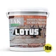 Лак акриловый для минеральных поверхностей Мокрый камень LOTUS прозрачный 10л - изображение 2