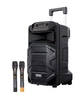 Динамик 15″ Мощный акустический комплект Temeisheng SL 15-31T 240Вт с 2 микрофонами (45718-_10798) - изображение 1