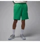 Шорти чоловічі Jordan Rare Air Green M Зелений IF1411-324 - зображення 2