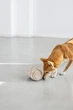 Пошукова іграшка для собак Palopa Sniffing Roll Kalpi Бежевий - зображення 6