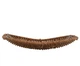 Кошик плетений "Nature’s Touch" 27*22см R41298-27 - изображение 2
