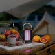 Ловушка Лампа от комаров и насекомых портативная аккумуляторная LED USB Черный/Золотой ABC - изображение 6