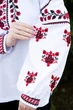 Жіноча вишиванка V&V Женя XXXL Білий (301068193-001) - изображение 4