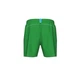 Шорты Arena Bywayx R Green 006442-610 S - изображение 3