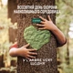 Жидкость для мытья посуды L'Arbre Vert Лайм 500 мл (3450601047077) - изображение 5