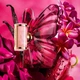 Парфюмированная вода для женщин Carolina Herrera La Bomba 50 мл - изображение 5