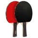 Набор для настольного тенниса Fox Table Tennis 219A 2 ракетки + 2 мяча - изображение 2