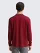 Поло лонгслив Tom Tailor 1048618 3XL Красный - изображение 5